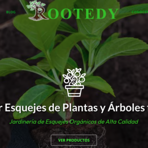 Screenshot of rootedy.com homepage